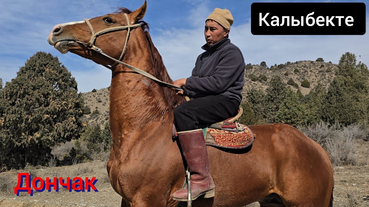 ДОНЧАК  САТУУГА ЧЫКТЫ ПАЙ ПАЙ ПАЙ   Улагы ЖИНДИ экен Калыбекте 