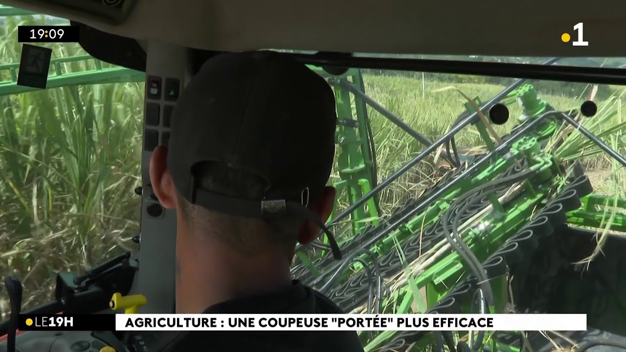 Des agriculteurs ont testé un nouveau type de coupeuse de cannes
