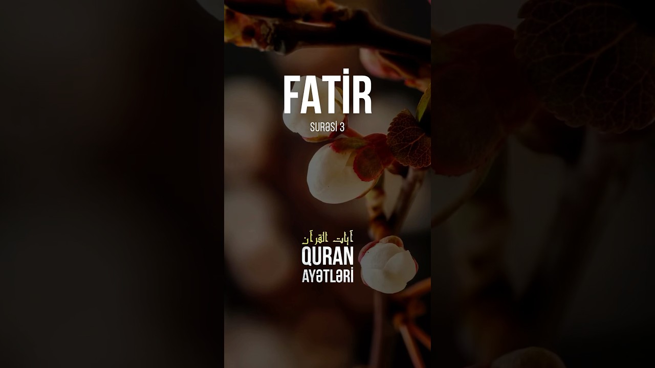 📖 Fatir surəsi 3🎙Ərəbcə - Muhammad Ayyub🎙 Mənaca tərcümə - Rasim Balayev