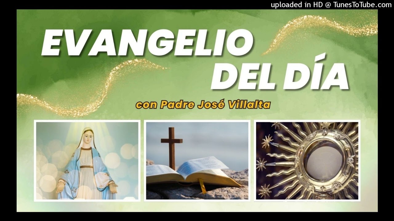 Domingo 15 de febrero 2026