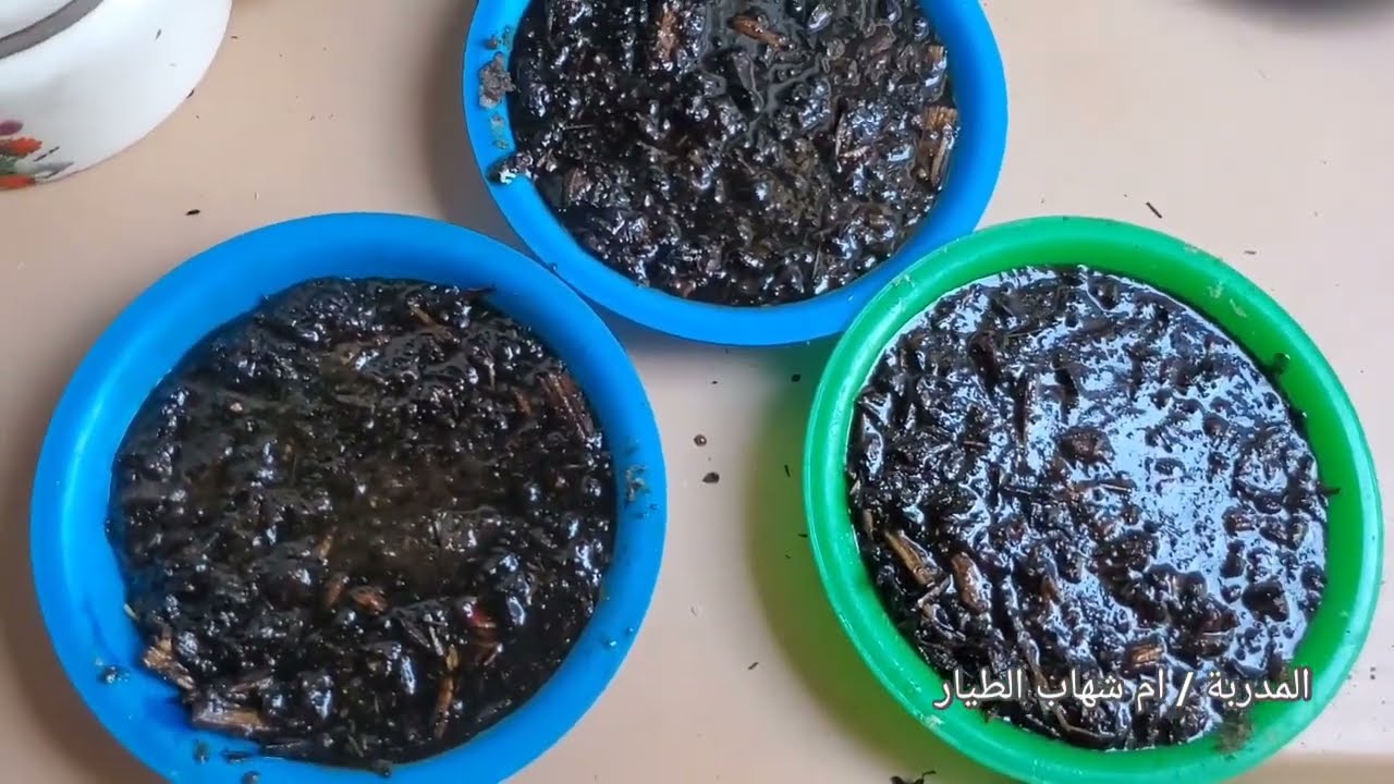 كيفية إعادة تدوير / بخور / فيه مشكلة / طبخة بخور/ ماعجبتنا نعيد طباختها / الجزء الاول