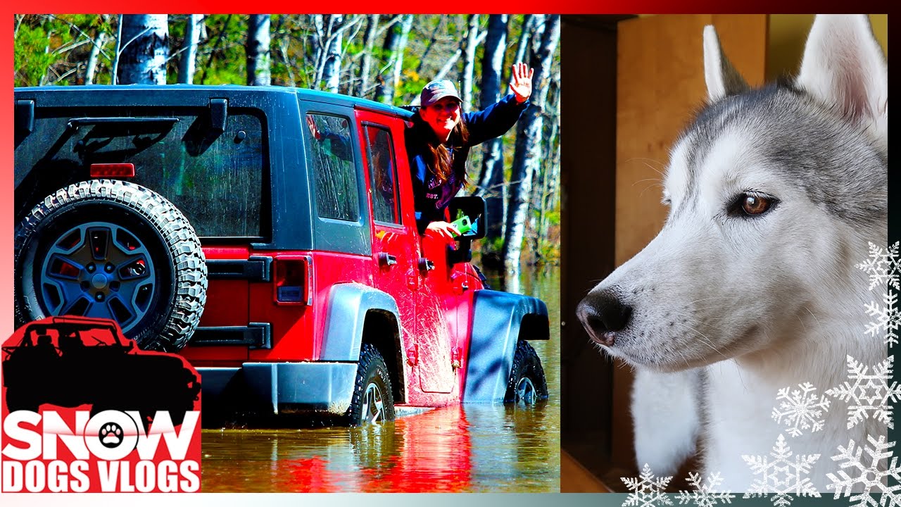 WE DON'T NEED ROADS . . . we have a Jeep Rubicon