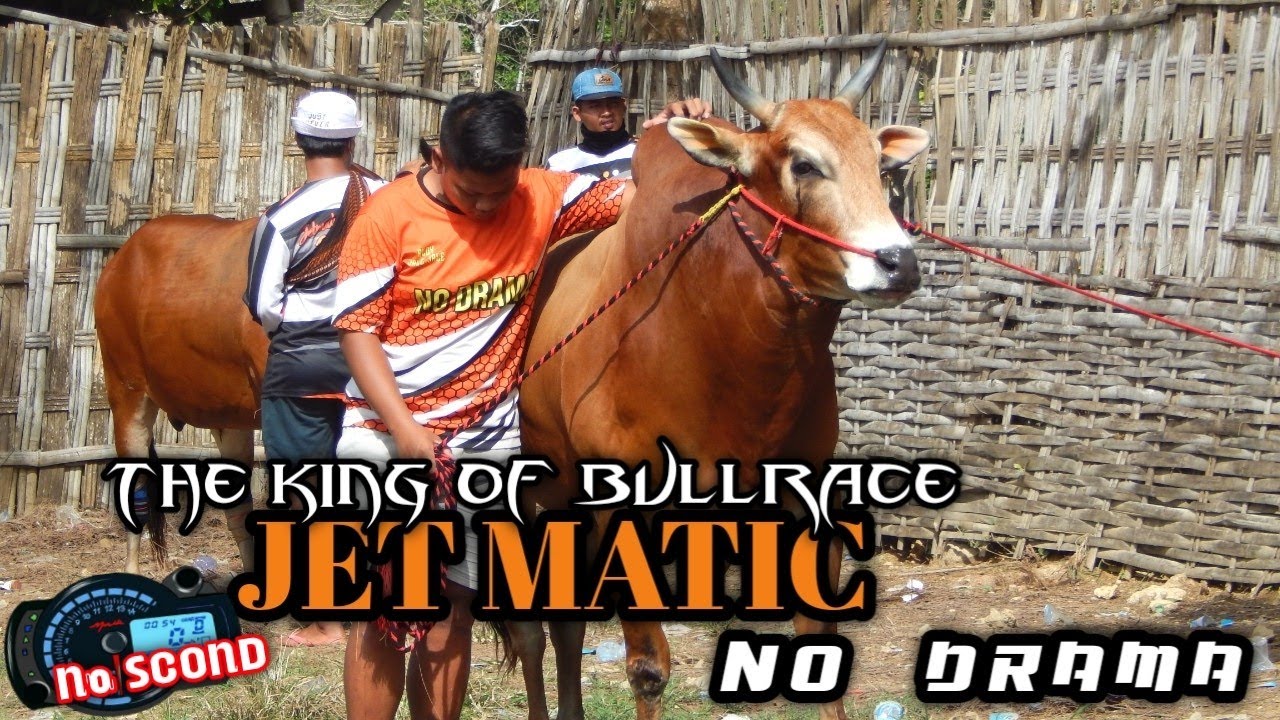 latihan 29/6/21 | JET MATIC | BIG BOSS | PRABU SAKTI