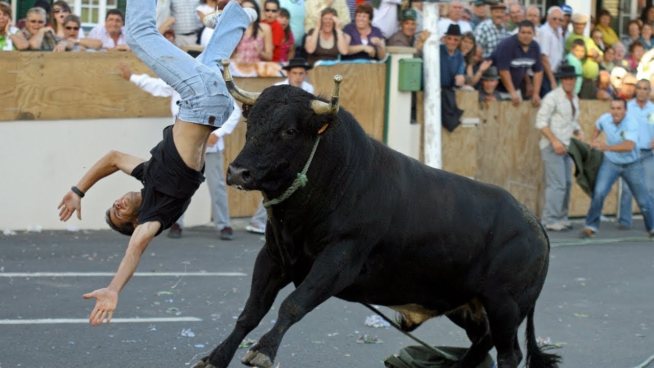 Funny videos | Bullfighting Festival #1 | Stupid people | Troll |Bull Fails| Try Not to Laugh | Fun