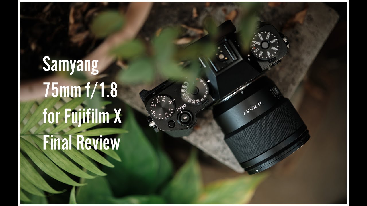 Обзор Samyang AF 75mm f/1.8 X: быстрый и дальнобойный