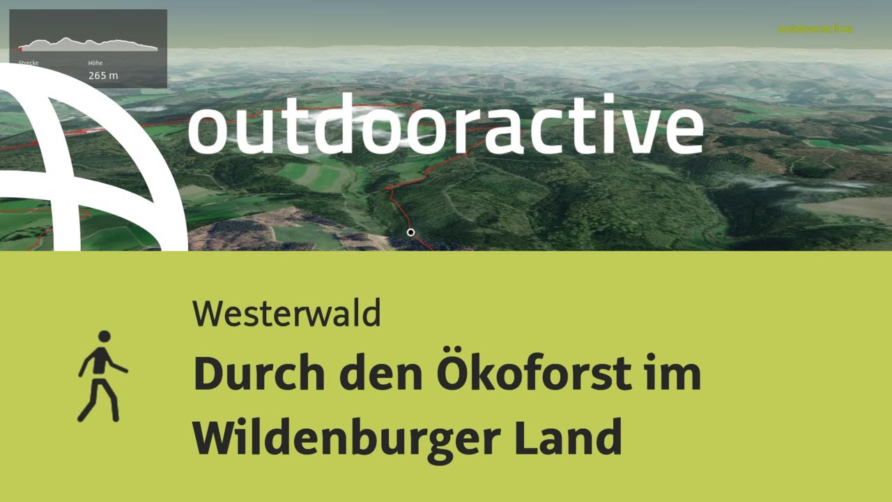 Wanderung im Westerwald: Durch den &Ouml;koforst im Wildenburger Land