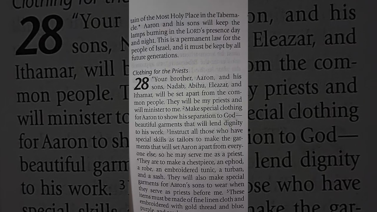Exodus 27 & 28 