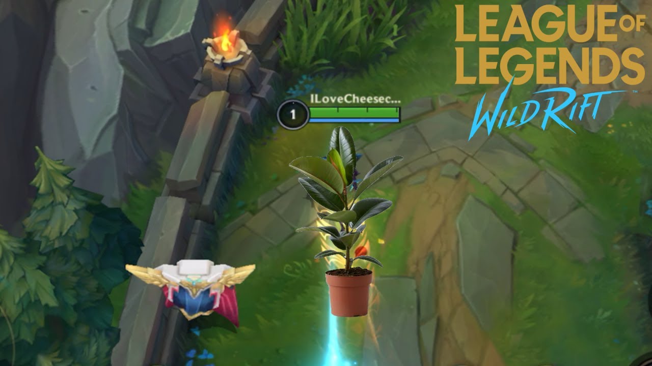 Wild Rift: ZYRA BUT NOBODY MOVES