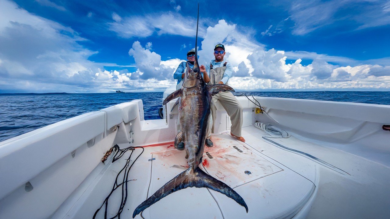 300lbs of SWORDFISH in 40 min!  Catch Clean Cook (Daytime Swordfish)
