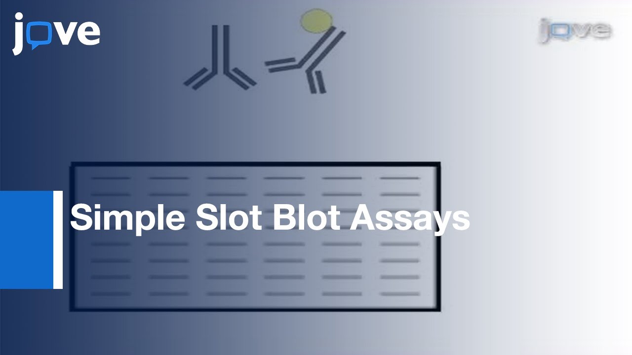 Quantitative Analyses: All Influenza Type A Viral Hemagglutinins & Neuraminidases l Protocol Preview