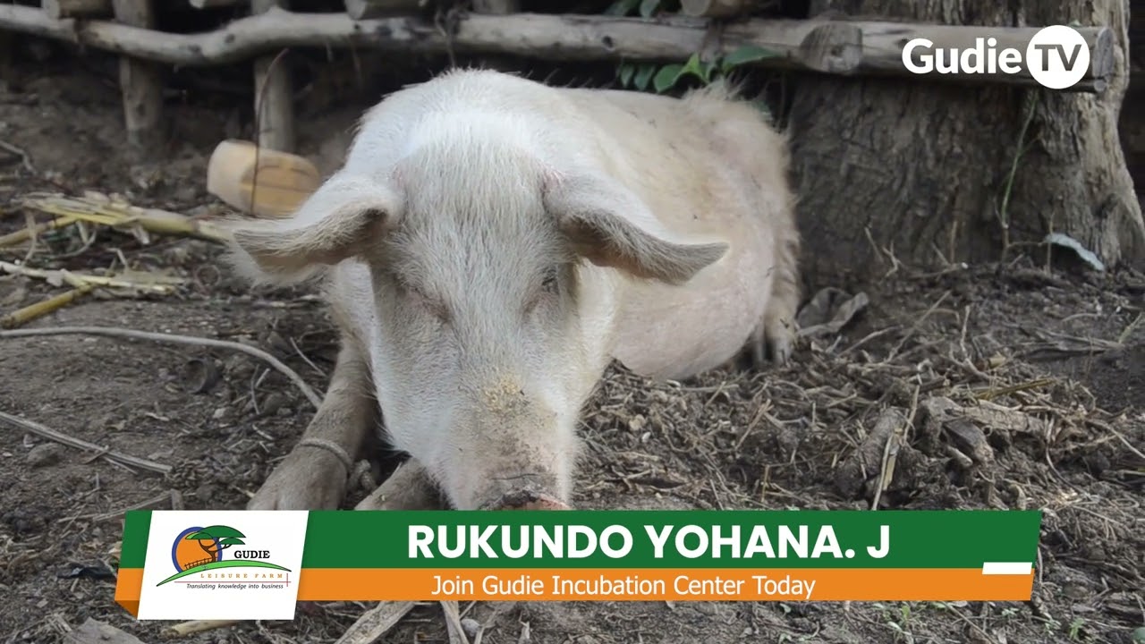 From Struggles to Success: Inspiring Story of a Refugee YAC and a Farmer in Kamwenge District