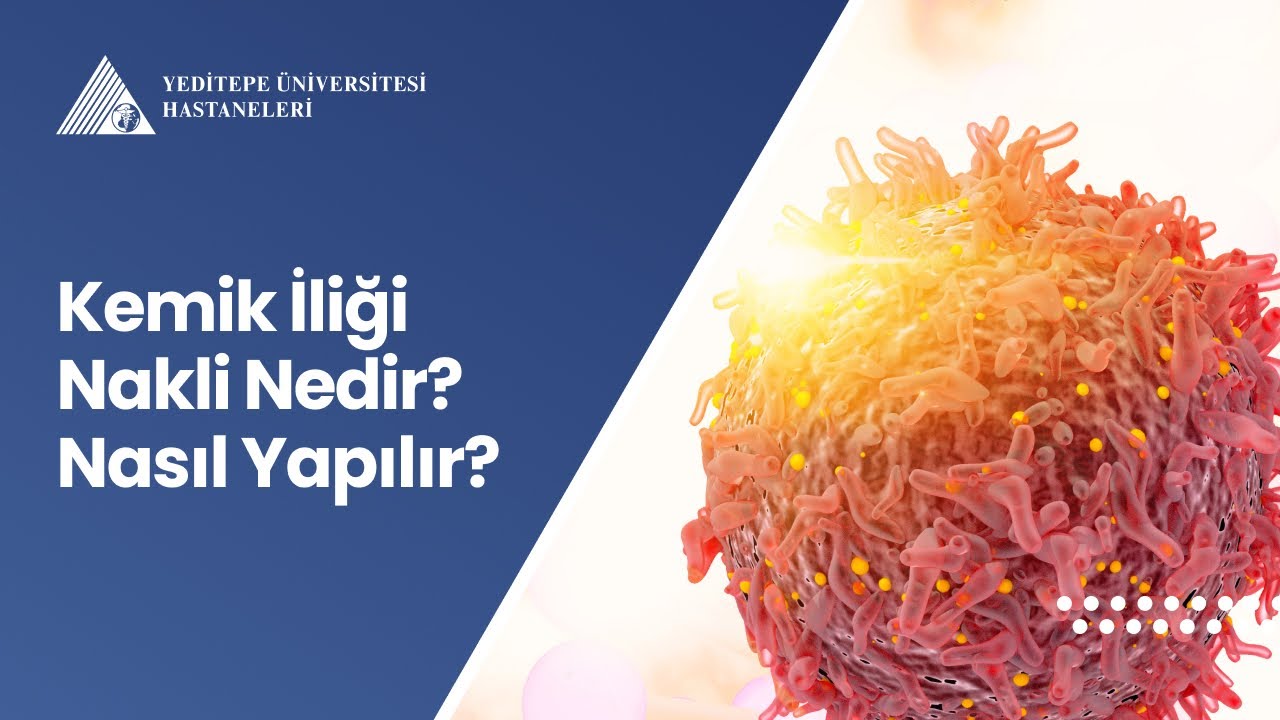 Kemik İliği Nakli Nedir? Nasıl Yapılır? | Prof. Dr. Nevin Yalman
