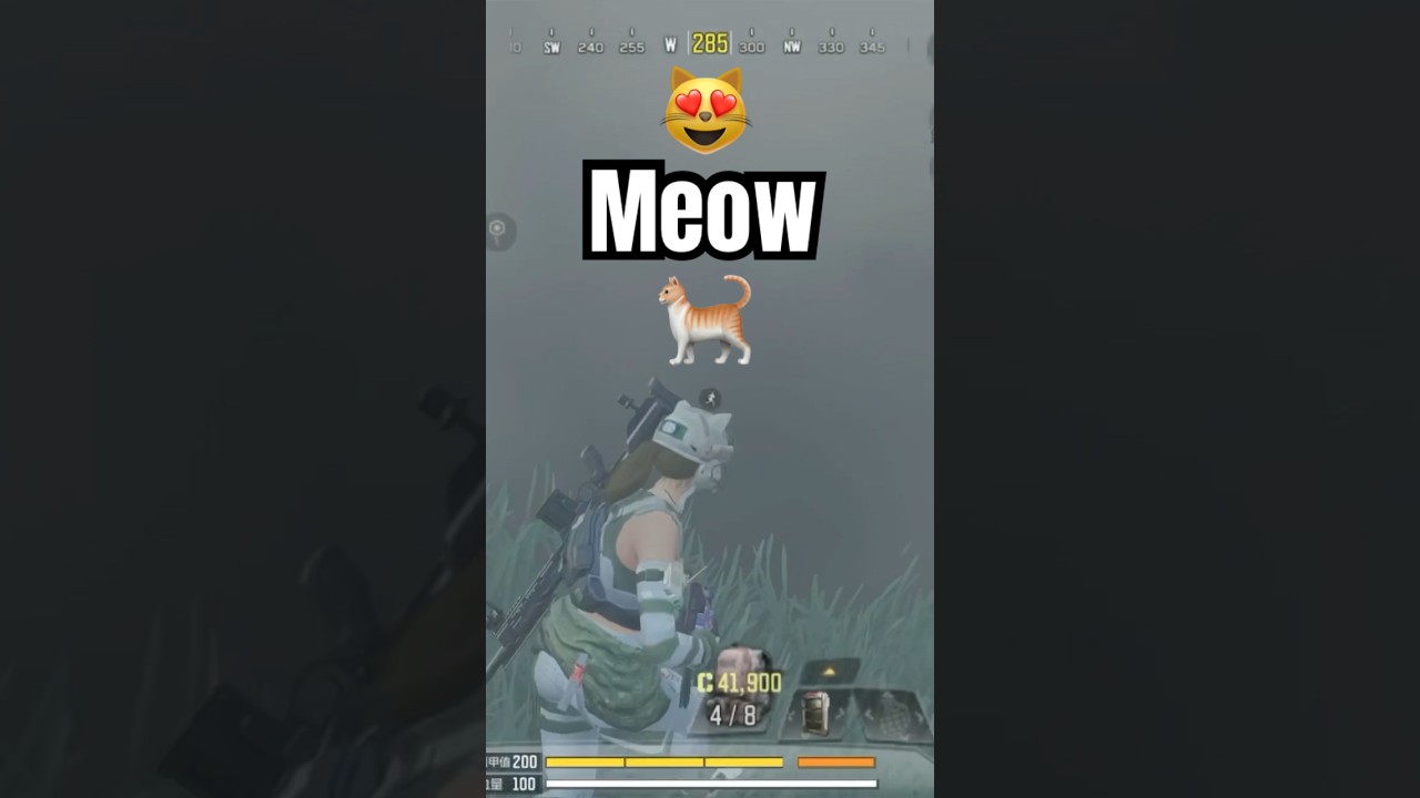 CODM Victory + (Real Cat) Meows 😸😹｜我家貓咪的叫聲❗️