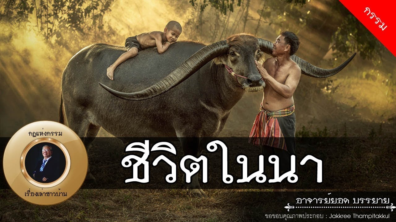 อาจารย์ยอด : ชีวิตในนา [กรรม]