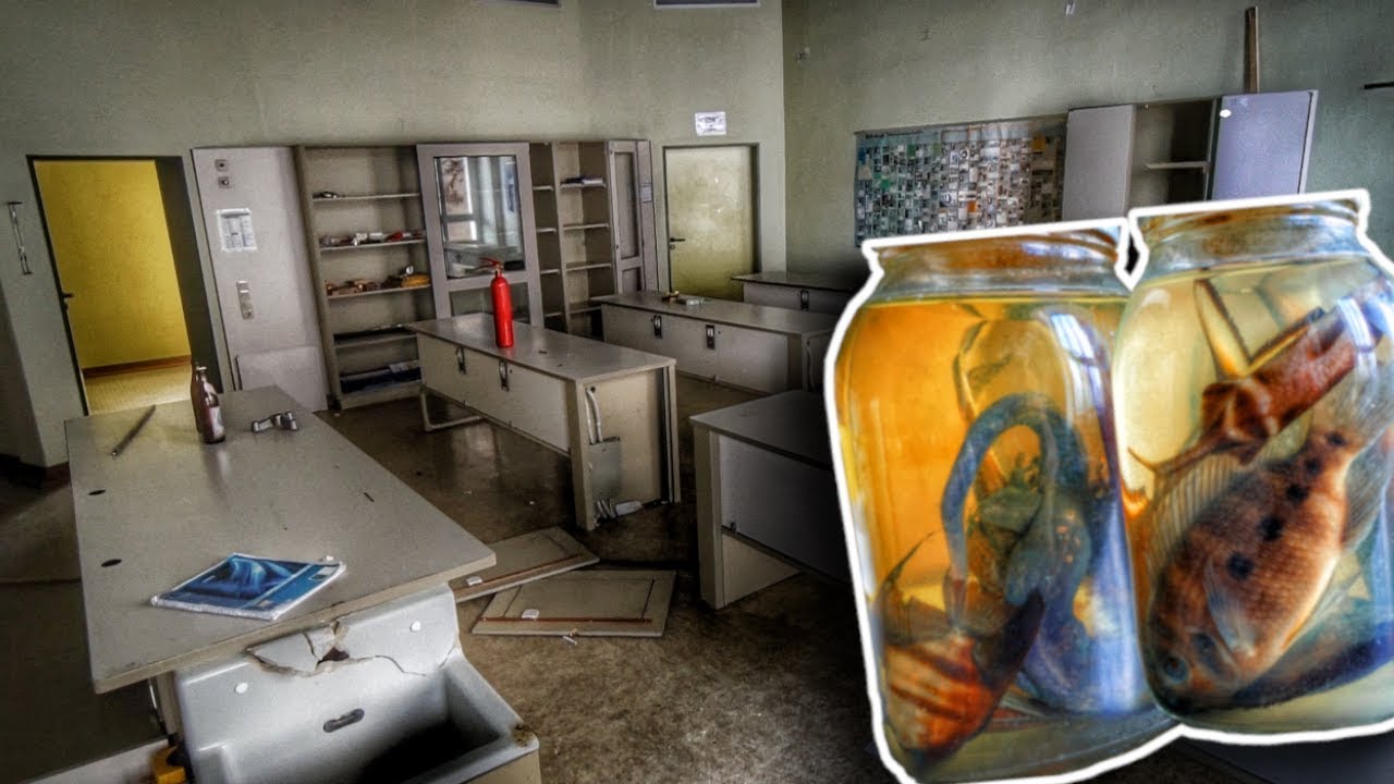 TIERE IM GLAS? | VERLASSENE SCHULE AUS DEM 2. WELTKRIEG GEFUNDEN!