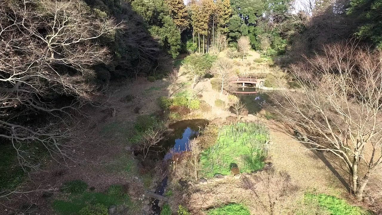 つくば牡丹園：庭園中心部（高度＝低１） ・・・冬季閉園中