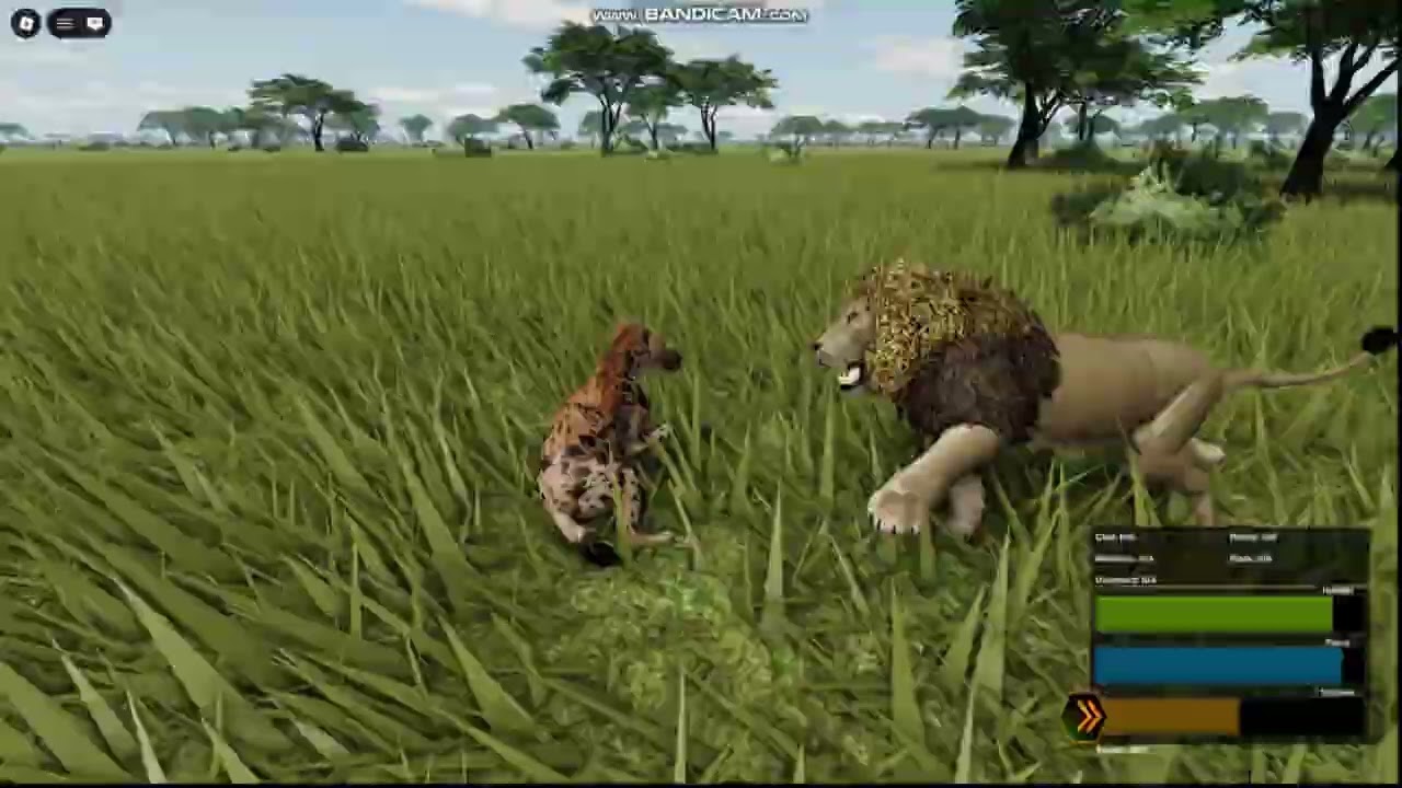 Hyena vs Male Lion - 1v1 | Wild Savannah