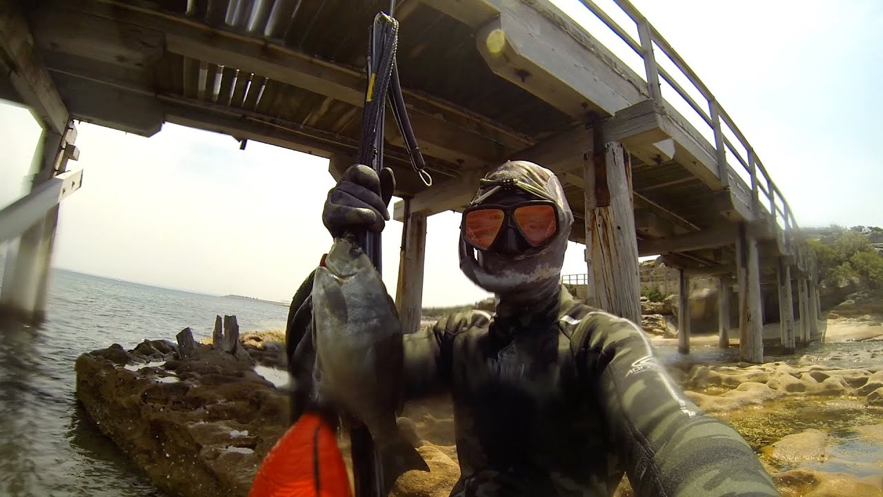 Spearfishing Bare Island 2