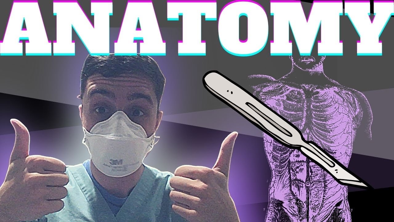 A Week in the Life of a Medical Student | Anatomy Dissection