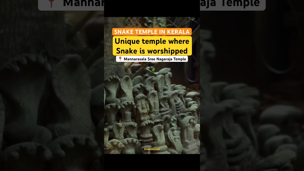 Unique Snake temple in Kerela | Mannarasala Sree Nagaraja Temple #shorts #snaketemple #shortsfeed