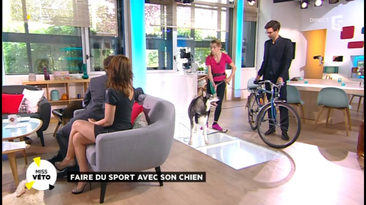 Je fais du sport avec mon chien