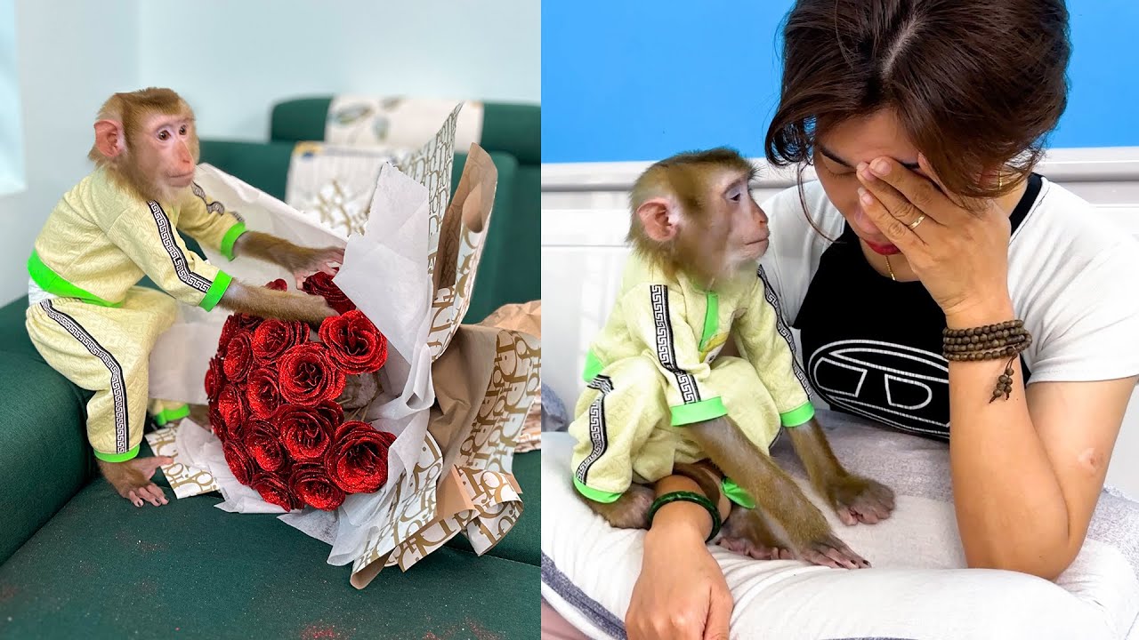Mom cried because Monkey Kaka ruined favorite bouquet of flowers