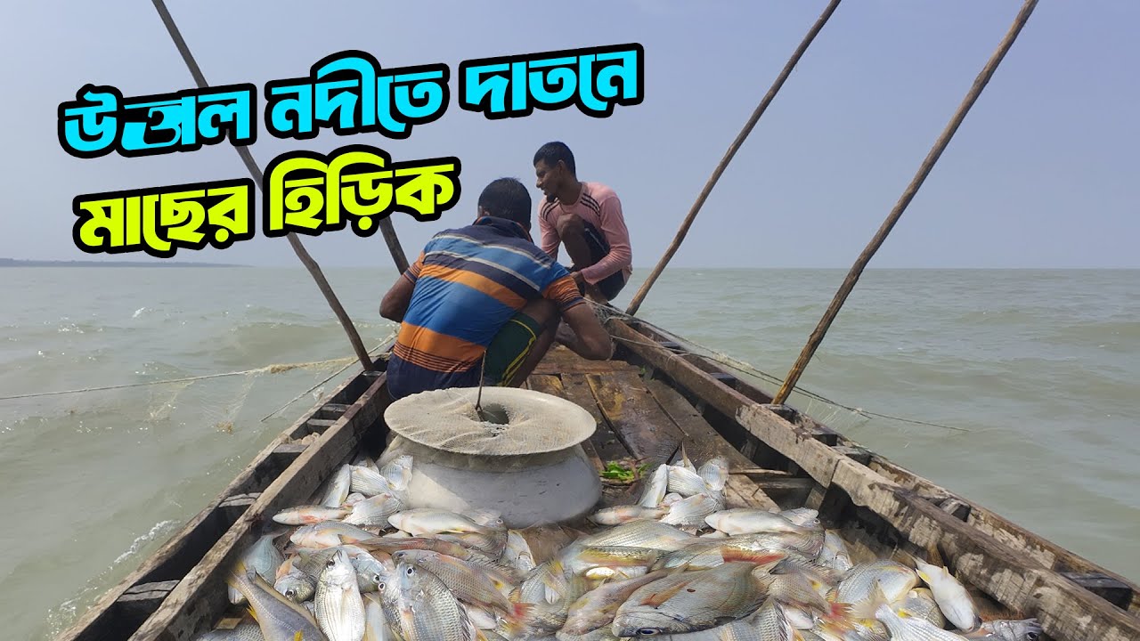 উত্তাল নদীতে দাতনে মাছ ধরার হিড়িক লেগেছে আজ | Extreme Fishing in Sundarban | Adventure BD