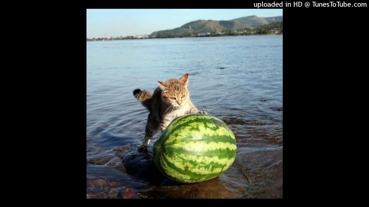 *free for nonprofit* pluggnb + diary plugg + yung frendi type beat 