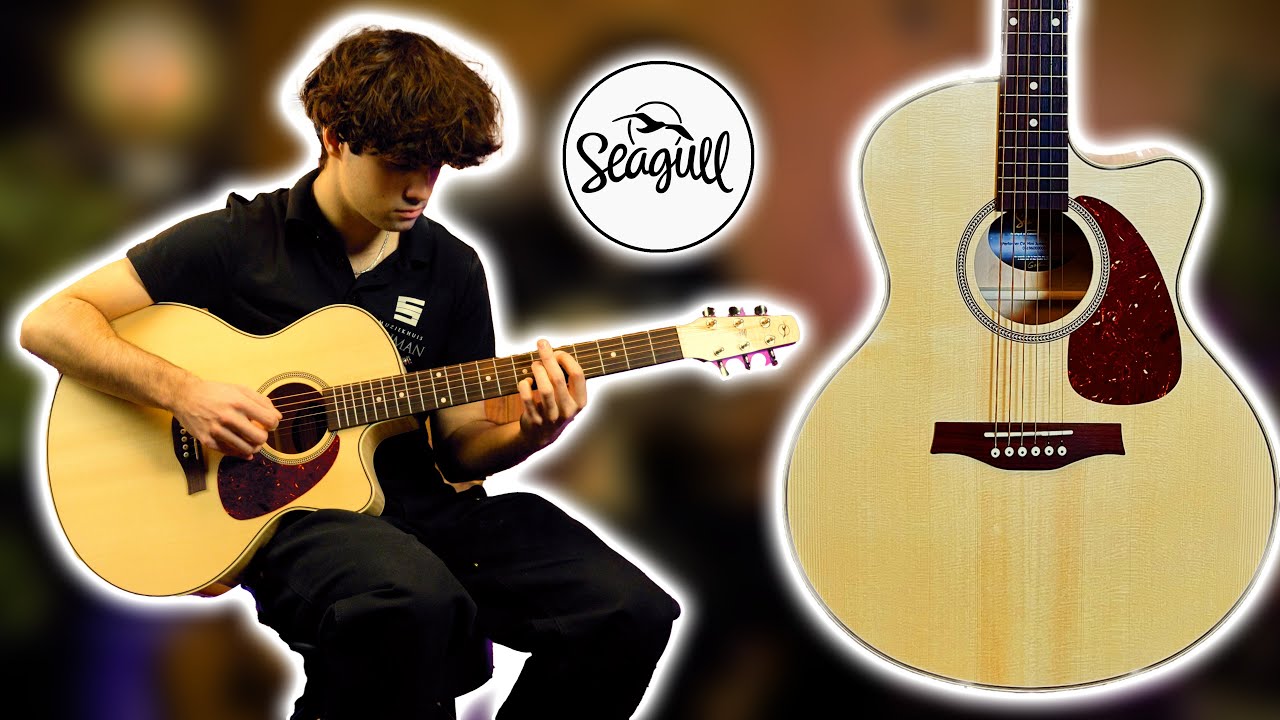 Seagull Perfomer CW Mini Jumbo DEMO | Muziekhuis Souman