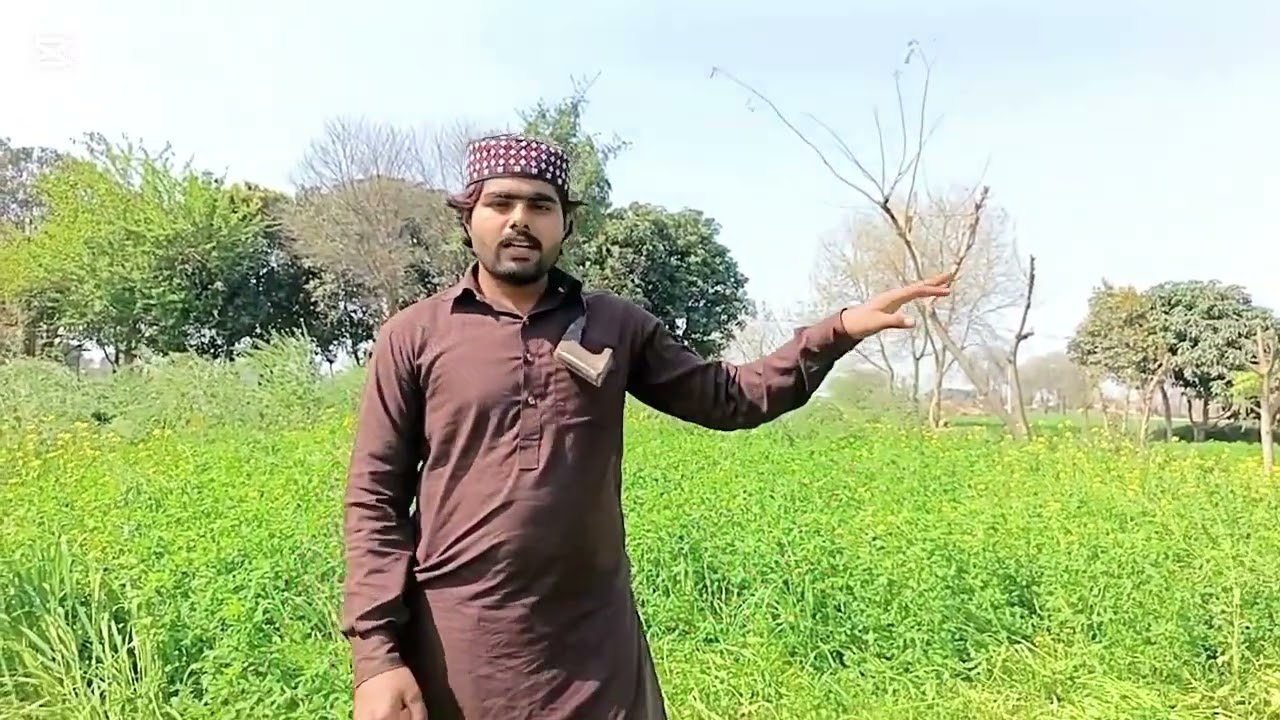سنگت نیو ویلوگ ماشاءاللہ 