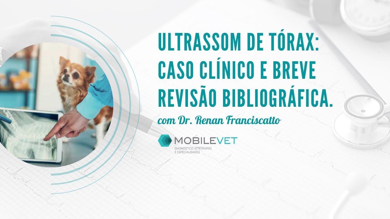 Ultrassom de Tórax: caso clínico e Breve revisão bibliográfica.