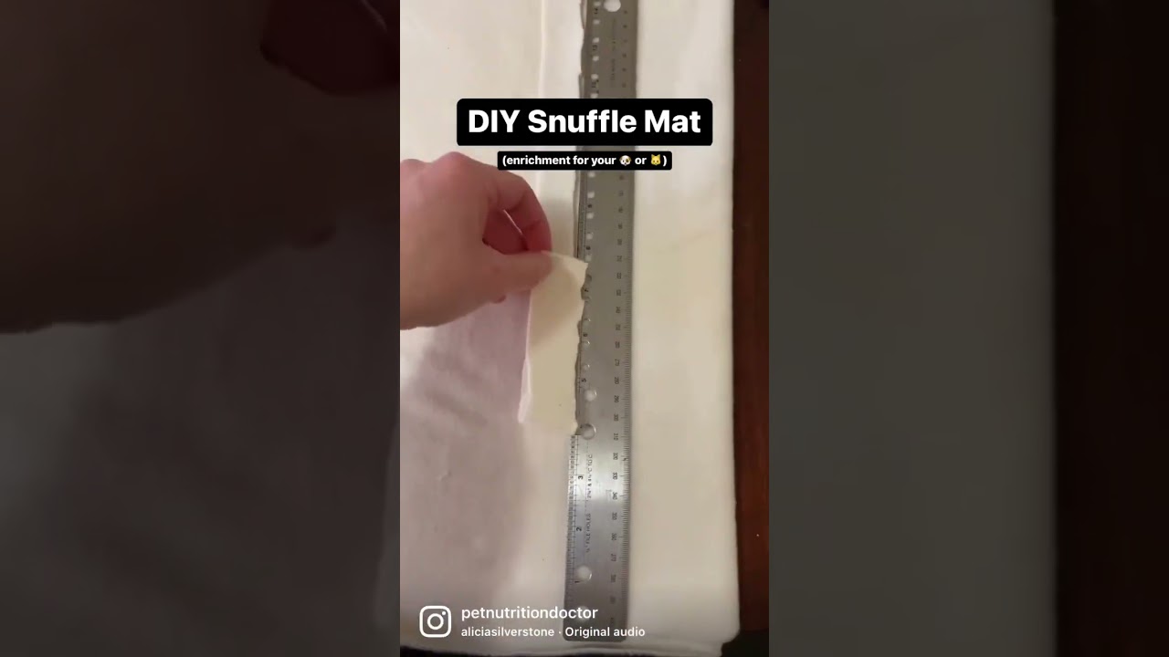 DIY Snuffle Mat | Great Enrichment for Dog 🐶 or 🐱|