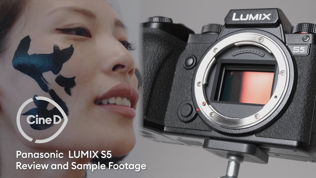 Panasonic LUMIX S5 Review and Sample Footage