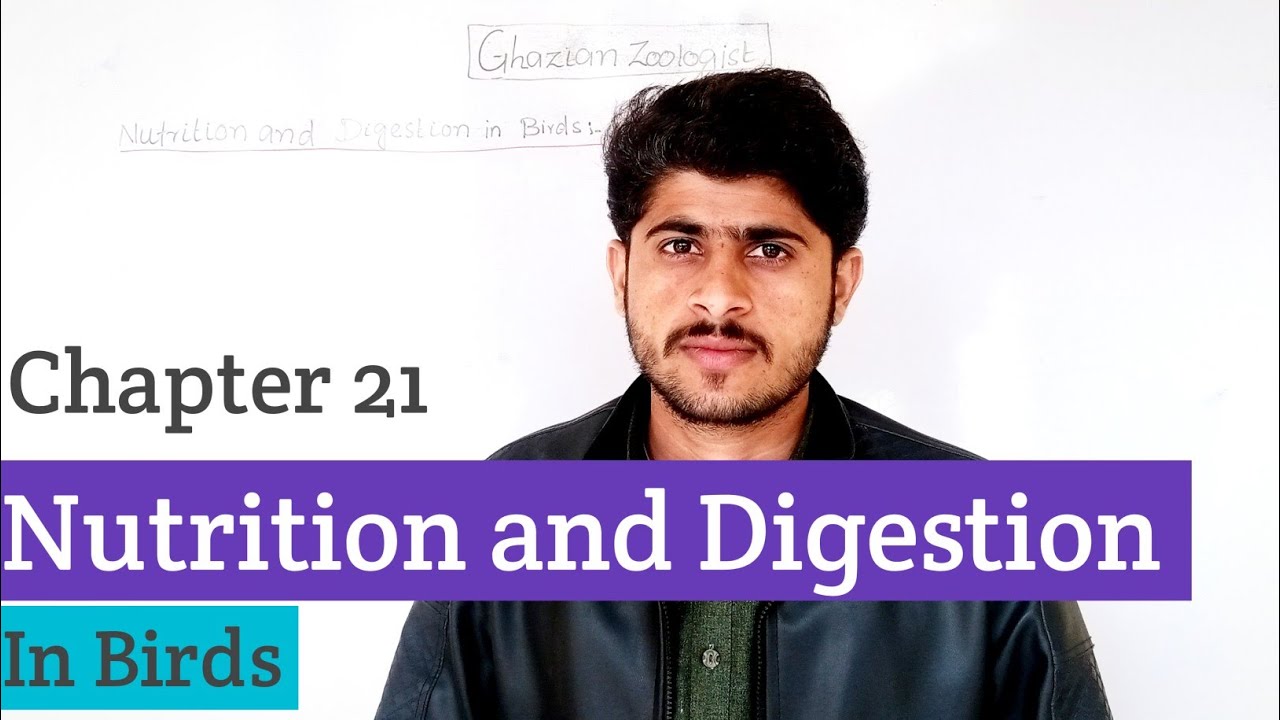Nutrition and Digestion in Birds