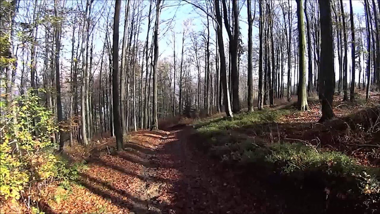 Ustroń- Zjazd z R&oacute;wnicy MTB(Sony Action Cam HDR-AS30)
