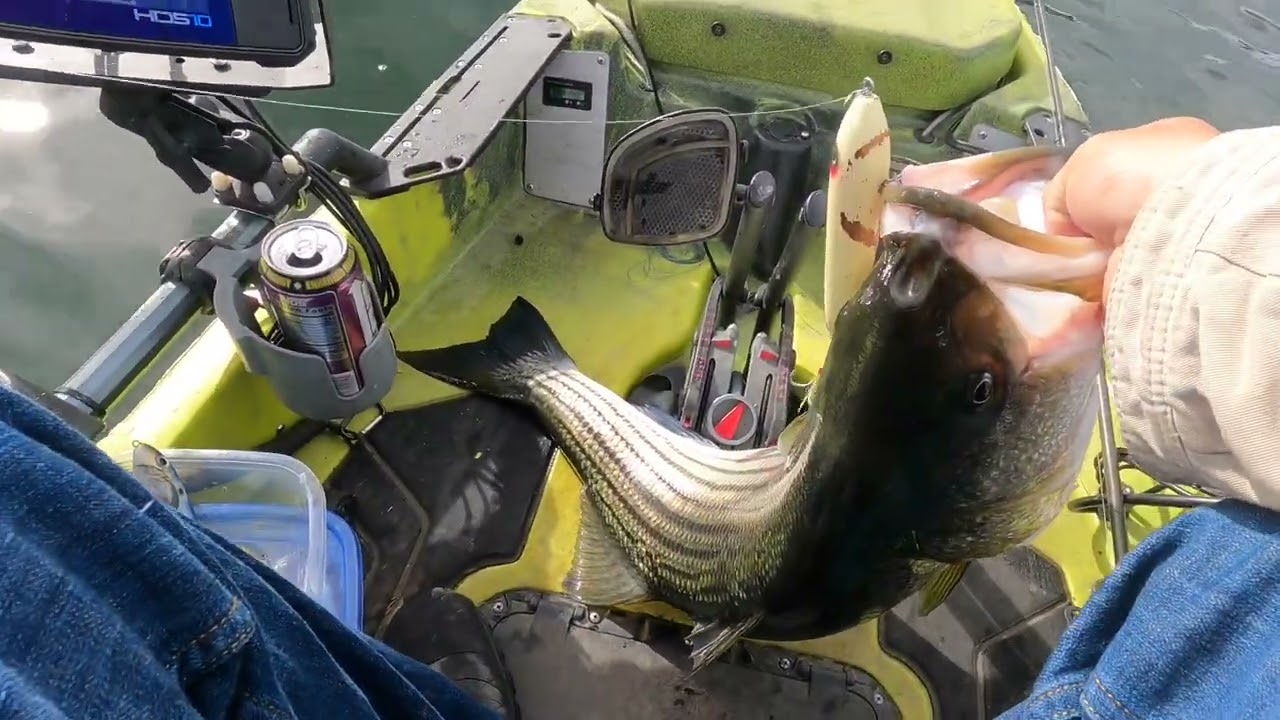 BIG STRIPERS BASS TRIP  SAN LUIS RESERVOIR 