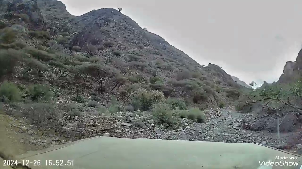 جبرني الوقت بترك بلادي يمين الله اني شبه مقصوب/اليمن يافع أسل يناء