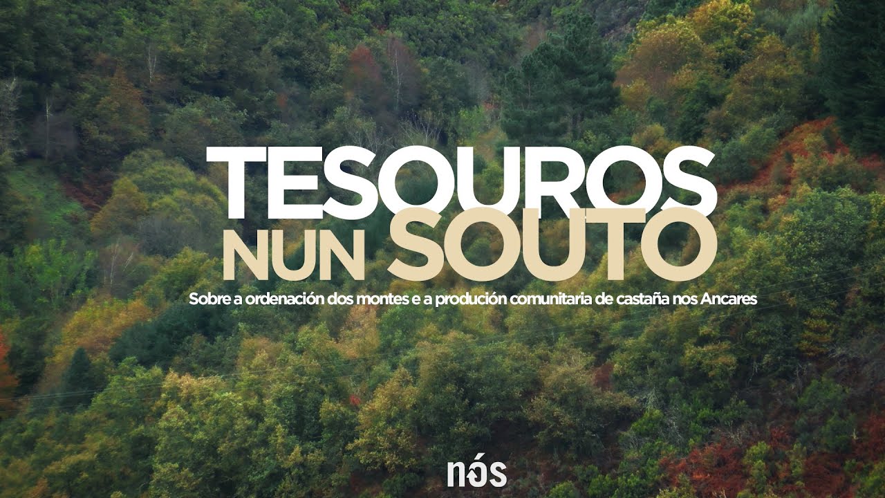 Tesouros nun souto dos Ancares