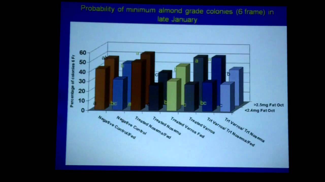 TBA 2011 - Improving Honey Bee Pollen Substitutes
