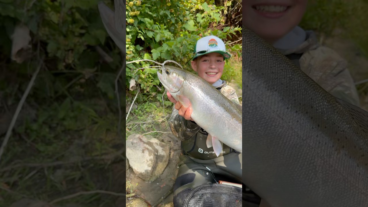 Landing MONSTER Steelhead at the creek 🎣 #steelhead