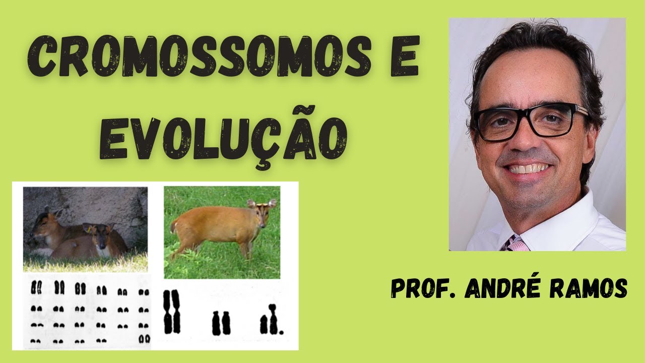 Os Cromossomos e a Evolução das Espécies