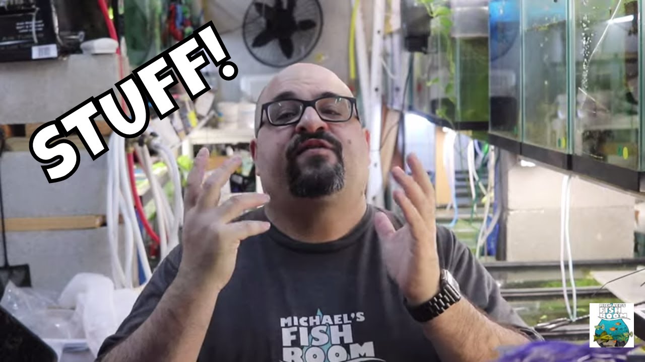 Stuff I Keep in the Fish Room!