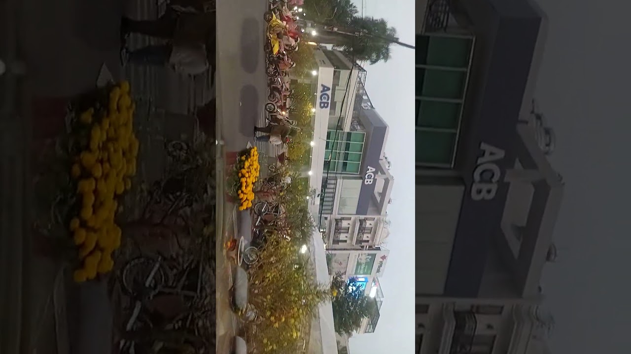 13 tháng 2, 2026camera hỗ trợ mua sắm tết ta