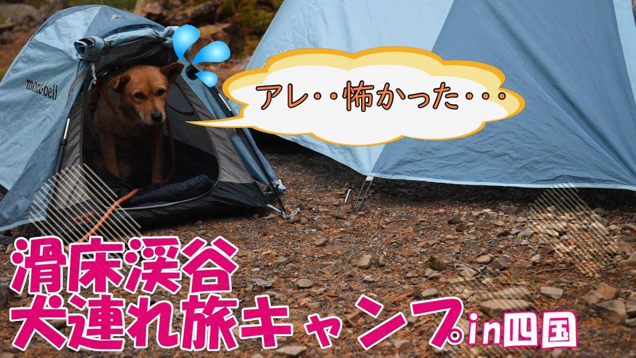 【犬連れ旅キャンプ】深夜のハプニング有!!!!滑床渓谷でキャンプしてきたっ!!【ファミリーキャンプ】#138