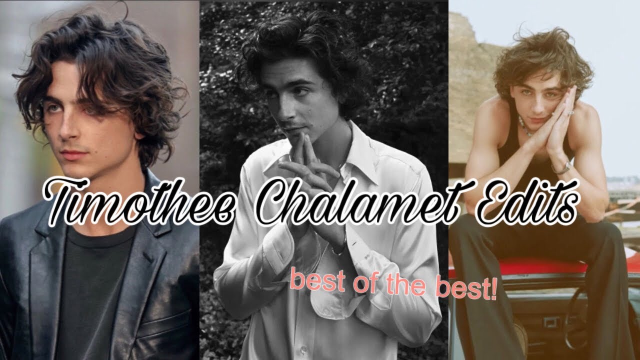 hot Timothée Chalamet edits that make me wanna take it to my penthouse and freak it