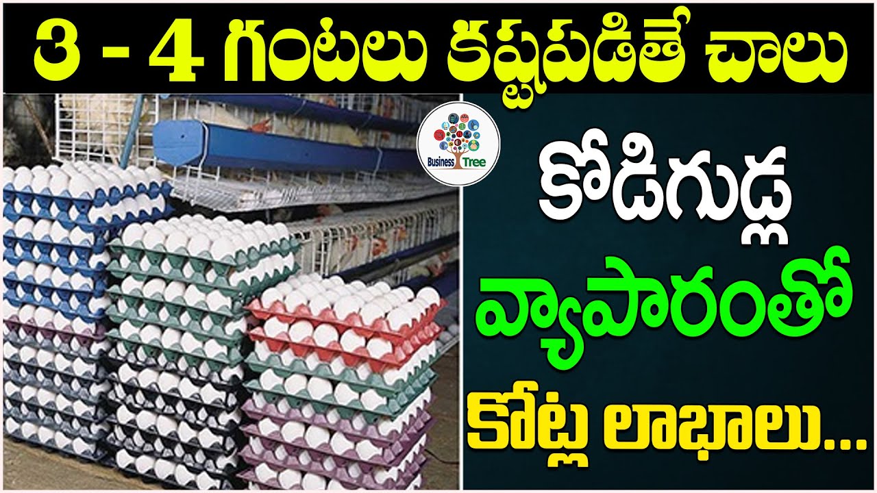 Egg Business Crores Of Profits - How to Start an Egg Business || Business tree