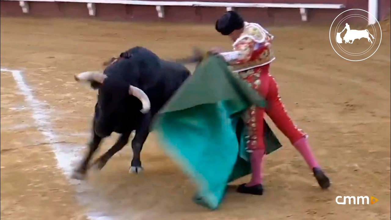 Antonio Ferrera, primer toro, Feria y Fiestas de Almadén (Ciudad Real). 26-07-2024.