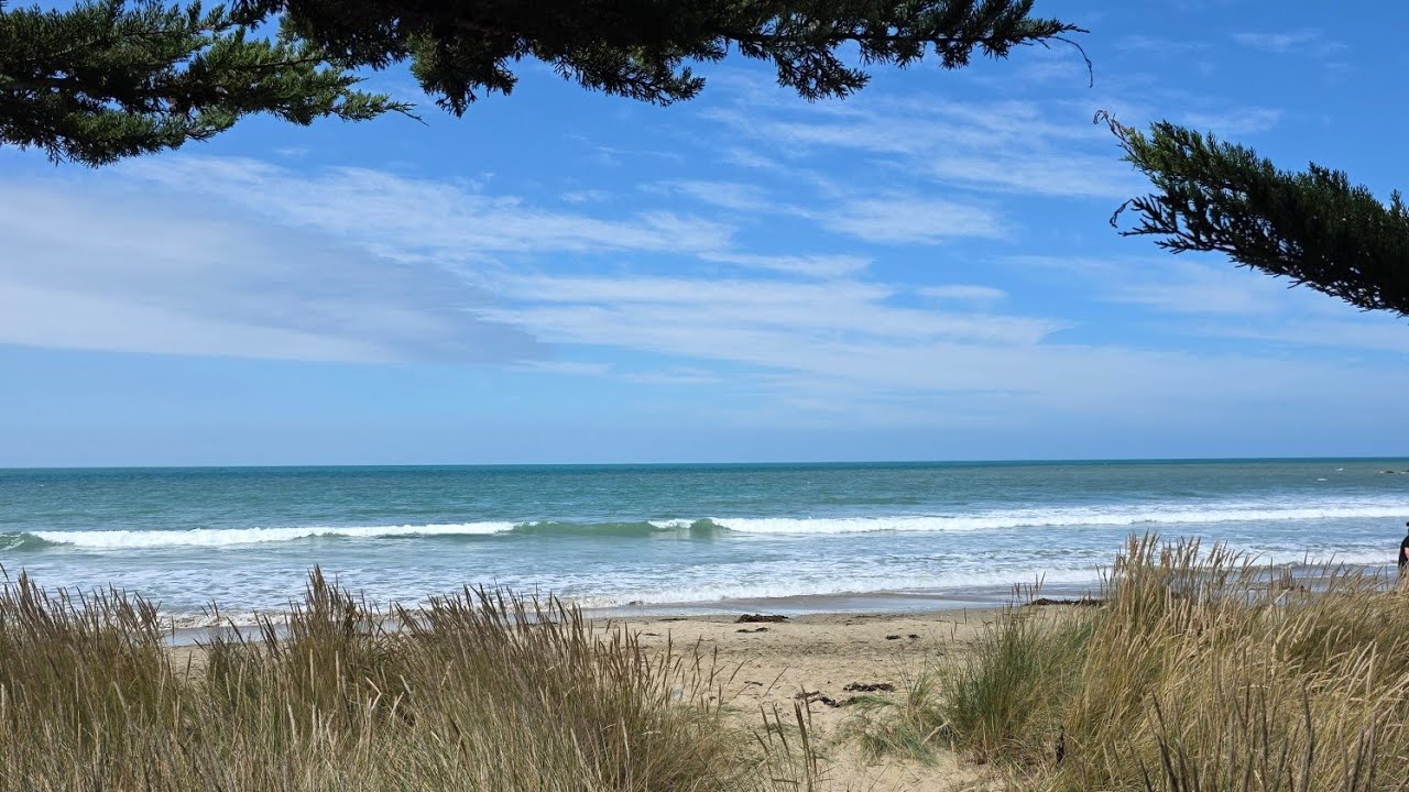 Ōrore / All Day Bay : a beach,  a seal,  surfers and freedom camping