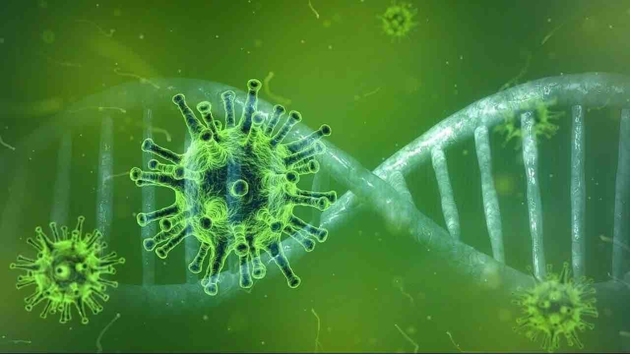 How biodiversity loss, destruction of nature and virus like COVID-19 are interlinked