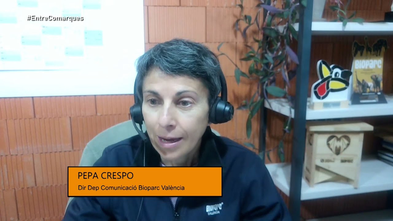 Entre Comarques: Entrevista a Pepa Crespo, directora de Comunicació del Bioparc València